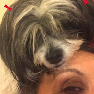 Meet your Posher, Lisa